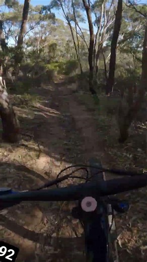 yr 4 day 92 some little trail rides #mtb #bicycle #mtbshorts
