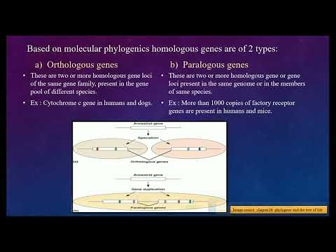 Gene duplication and divergence// Evolution//Origin of new genes and proteins// Subscribe 🔔