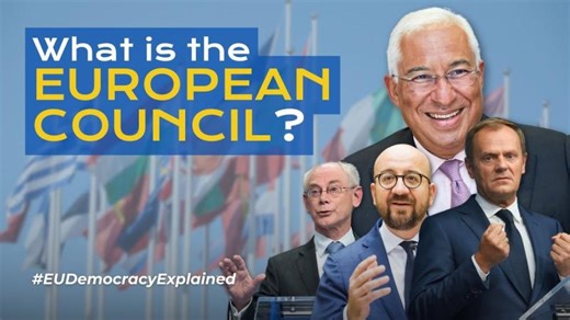 What is the EUROPEAN COUNCIL? | #EUDemocracyExplained | TEPSA - Trans European Policy Studies Association