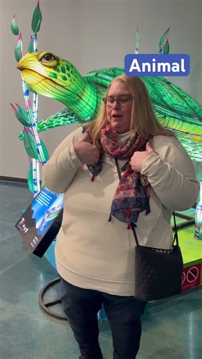 ASL Animals: TURTLE 🐢 Lantern Festival | Part 6 #asl #learnasl #deaf