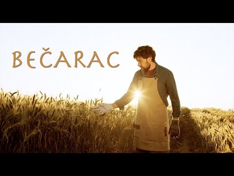 Zlatko Pejaković - Bećarac (Official lyric video)