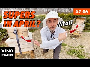 Bee Barn Beekeeping… What a Difference!