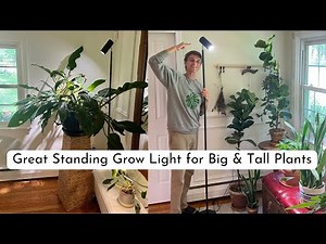 Best LED Grow Light for Tall & Big Plants - Floor Lamp