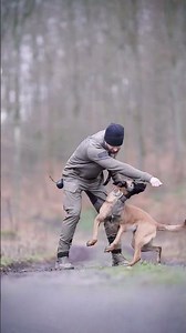 💪 K9 Power Hour–Real Police Dog Training🐕#DogTraining#AgilityDog#StrongDog