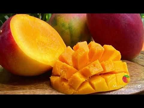 Haden Mango - The Classic Florida Variety 