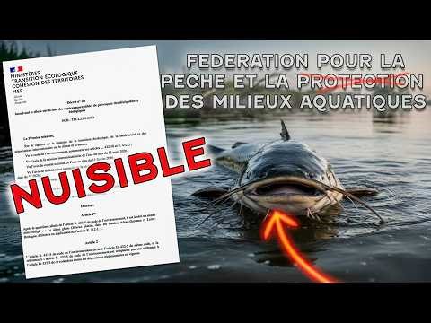 DÉCRET SILURE 2026 : Pourquoi il doit enfin passer NUISIBLE (Preuves officielles)