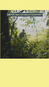 Arborists reviewed every tree in the project area for health, size and to remove only what’s necessary. Our commitment is to protect trees and replant—leaving Forest Park healthier in the long term. | Portland General Electric