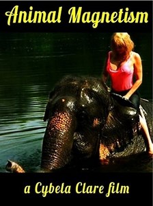 Stream Animal Magnetism (2016): Find it on Netflix, Prime Video, Hulu & more