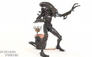异形 NECA Ultimate Alien Brown Xenomorph Warrior Aliens Movie Action Figure Toy Re