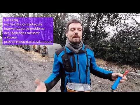 Géobiologie : rencontre avec Luc Leroy