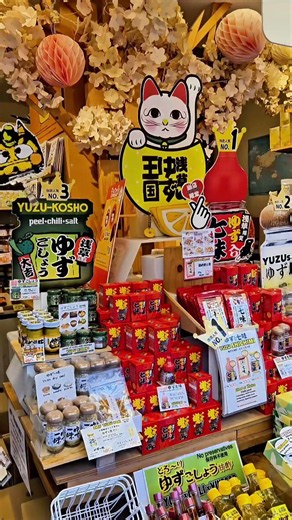 Asakusa Walking Tour Preview | Discover Old Tokyo with Japan Navigators