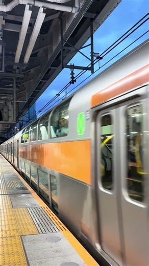 快速ホリデー快速おくたま東京行き