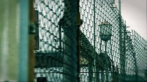 16K views · 328 reactions | This week we celebrate 73 years of the United Steelworkers standing up and fighting back for workers around the world. #USWWorks | United Steelworkers | Facebook