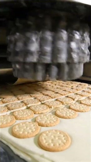 Inside the High-Speed Biscuit Factory – Full Process How Luxury Biscuits Are Made