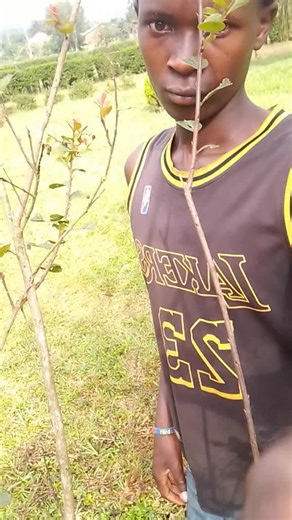 clincher pro (@clincher.pro)’s videos with original sound -  𝐎𝐍𝐄𝐬 𝐃𝐀𝐍𝐂𝐄𝐬 