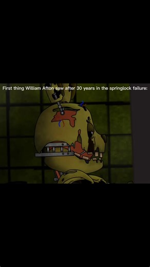 William's First Vision After 30 Years in Springlock Failure