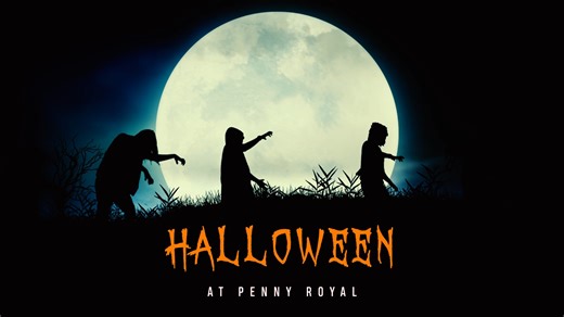 Join us for the Zombie Reawakening this Halloween!!! 7-10pm on 31/10 & 1/11. Early entry for pre-purchased tickets at 6pm. Allows younger visitors to be able to interact with the characters before the rides start. Come experience Zombie River and the Undead Crypt! Ever wondered if you could survive a zombie apocalypse? Find out for yourself! Your $40 TICKET OF TERROR (waiver required!!) will grant you access to... ⚰️ ZOMBIE RIVER …if you dare!!! ⚰️ the UNDEAD CRYPT... ....and all General Admissi