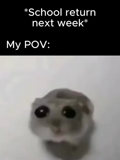 Sad Hamster Meme: Skateboarding Home Troubles