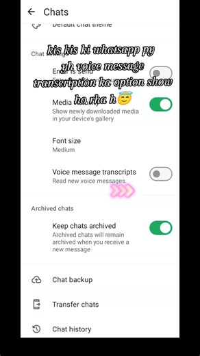 WhatsApp Voice Message Transcription Feature Explained