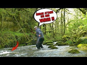 This VAIRON MANIÉ TECHNIQUE is ULTRA EFFECTIVE PROOF in IMAGE