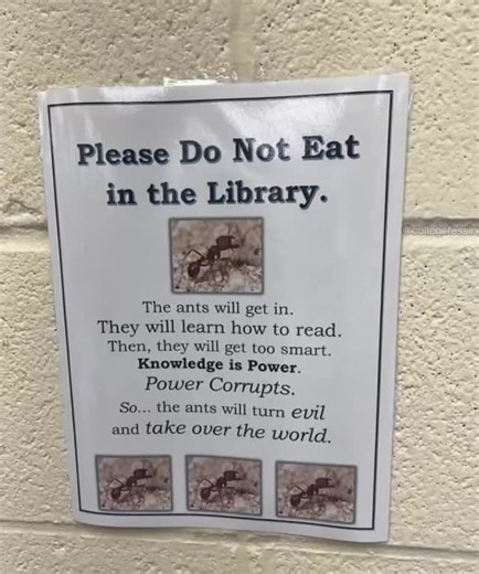 NƎSH on Instagram: "I, for one, welcome our new literate insect overlords #viral #reels #funny #memes"