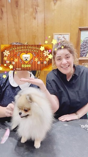 24K views · 79 reactions | Introducing ✨SHMOOP BUCKS✨ The most perfect (last minute) gift for any groomer or pet parent! Shmoop Bucks are gift certificates that can be used on any of my online courses. If you know a groomer or pet parent who is looking to up-level their skills so they can have ease & confidence in their work, ✨Shmoop Bucks✨ are the perfect gift. Link in my bio or log on to JessRonaCourses.com! | Jess Rona Grooming | Facebook