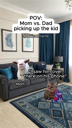 CAT MEMES 🐱Mom vs. Dad picking up the kid #shorts #catmemes #relatable