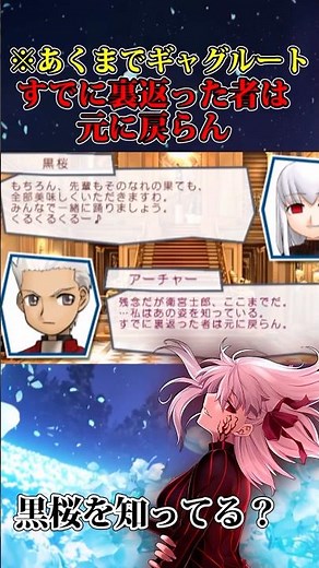 【Fate】黒桜を知っている？英霊エミヤと間桐桜の関係について簡単に解説#fate #fategrandorder #型月 #fgo