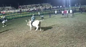 Monta Rustica:Toro Azogue. | Montaderas Trivisión