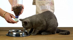 #Tuto #DIY pour fabriquer un distributeur de croquettes pour chat ! plus d'infos là => http://bit.ly/2d5uu2p | Jardiland