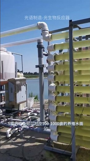 Photobioreactor for the combined culture of microalgae and bacteria