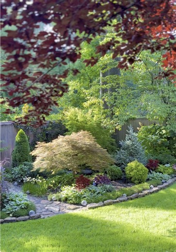 Walking through my magical fairy garden in the early morning. #fairygarden #magical #gardening #garden