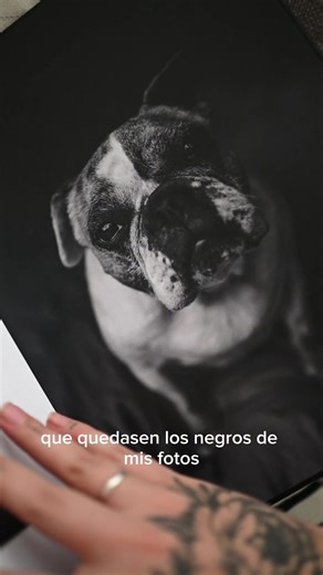 ⭐ 50% de descuento en tu primer pedido de álbumes digitales ⭐ Si aún no conoces nuestros álbumes, aprovecha ahora esta oportunidad única y pide los álbumes digitales que elijas con un increíble descuento del 50%. Lo que puedes esperar 💎 Elegantes opciones de cubierta (incluido el metacrilato) 📓 Diseños de portada personalizables con aspecto de cuero 🎁 Caja de regalo premium hecha a mano ⛔ Sin logotipo del fabricante 🌈 Perfiles ICC ⚡️ Tiempos de producción rápidos 💻 Total libertad de diseño 