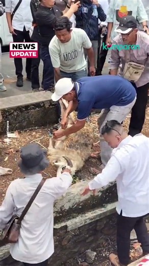 Pejabatnya di-OTT KPK, Kantor BPN Kab Bogor Didatangi Warga, Pada Syukuran dan Potong Kambing