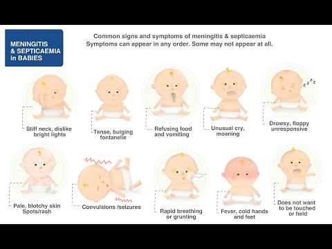 Childhood Meningitis Hospital Experiences; What Families Should Expect During Treatment