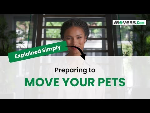 Preparing to Move With Pets | Stress-Free Tips for Dogs, Cats, and More