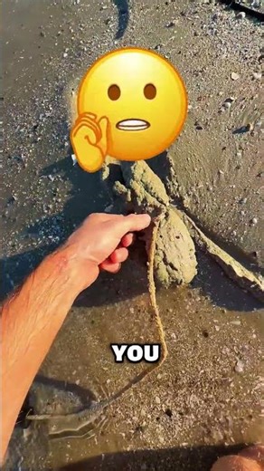 He Found Something SO AWESOME!!? 😍🏖️