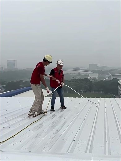 Dịch Vụ Thi Công Chống Sét Cho Nhà Xưởng Sử Dụng Kim Thu Sét ALPS Cao Cấp #shorts #lighttech