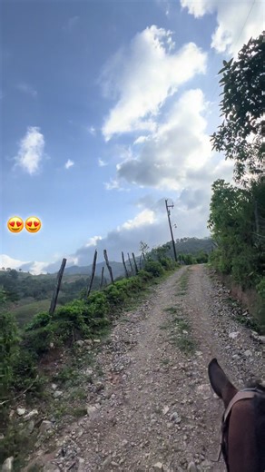 Videos de 𝓝𝓲𝓬𝓴🤍 (@nickjr016) con “sonido original - Racini”