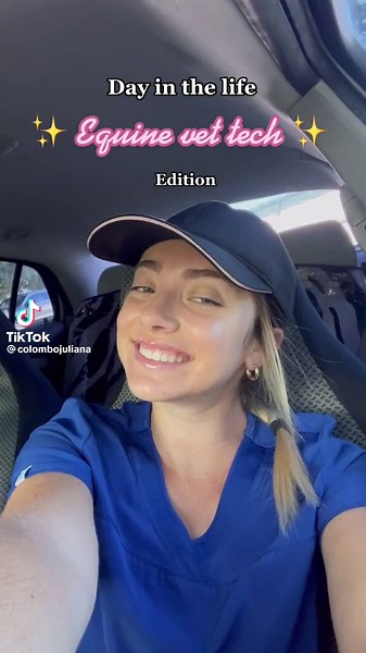 A Day in the Life of an Equine Vet Tech