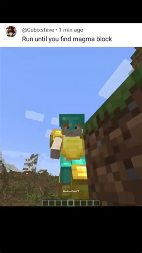 Minecraft Don't Comment Again💀