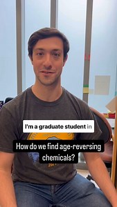 David Sinclair on Instagram: "We can see cell reprograming in action to reverse aging in cells that we’ve engineered to have a green/red fluorescent reporter system. These age-reversing chemicals are now being tested on old animals as we speak. Cross your fingers 🤞 . @sinclair_lab @harvardmed 🔬 #longevity #cellreporgramming #fluorescentstaining #genetics #lablife #sciencefacts #instagram #grad #phd #aging #fitness #biotech"