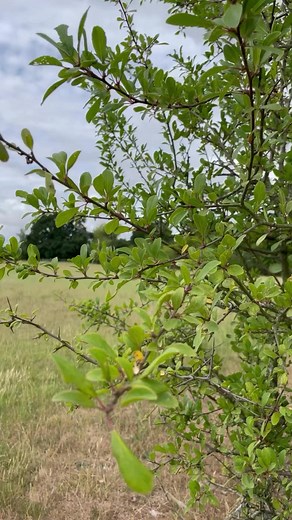 7 ways to refresh your CV for 2024Your CV must be up-to-date with your academic and professional achievements before you apply for your dream role!👉🏼 Here are 7 ways you can give it the refresh it needs today:1 Ensure it is easy to follow and clearly presented.2 Use headings (to help with the above).3 Make it factual.4 Write about your current role first and then work backwards.5 ...And ensure each job title is accompanied by employment dates.6 Stick to a maximum of X2 pages.7 Leave your perso