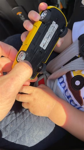 Sammy Knows Better: The Truth About Broken Cars