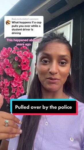 Learner Driver Pulled Over by Police: My Experience