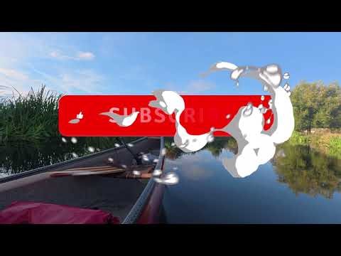 Swift Prospector And O.T Camper On The Stour September 2025