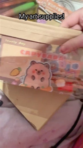 My art supply haul! #drawing #supplieshaul #artsupplies #firstvid #fyp #blowup