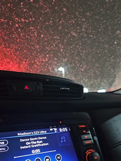 I GOTTA FEELING THAT WE'RE HERE TO STAY. STICK WITH ME AND I CAN TAKE YOU THERE. #metal #swancore #dgd #dancegavindance