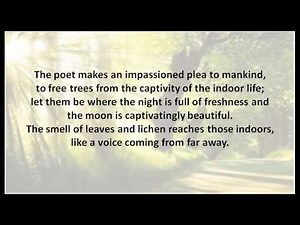 Summary: The Trees Video Lecture - Class 10