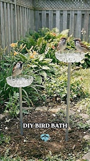 Easy DIY Bird Bath for Your Garden
